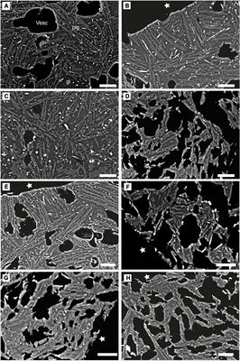 High Crystal Number Densities From Mechanical Damage